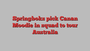 Springboks pick Canan Moodie in squad to tour Australia