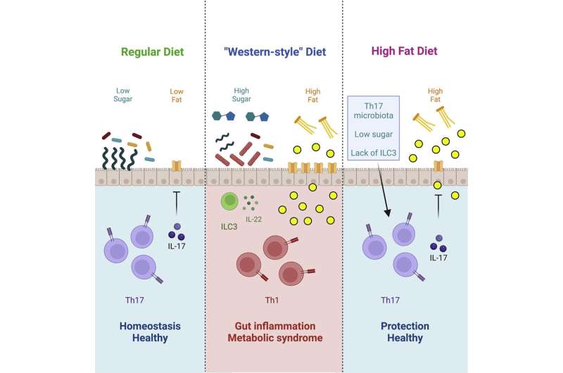 Sugar disrupts microbiome, eliminates protection against obesity and diabetes