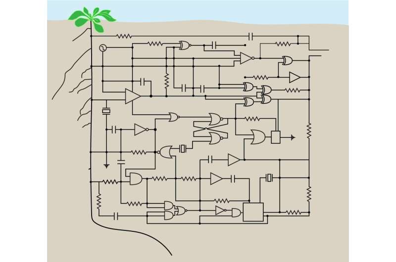 Synthetic genetic circuits could help plants adapt to climate change