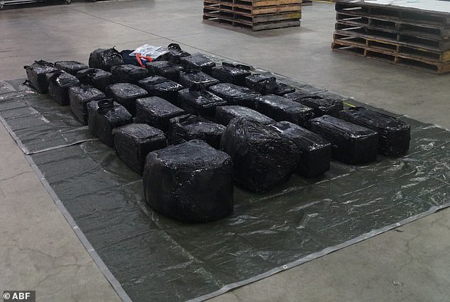 The Australian Border Force found 700kg of cocaine on a cargo ship in Botany Port, Sydney