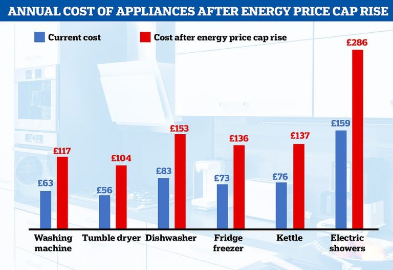 The power-hungry appliances set to DOUBLE your annual electricity bill after price cap rise