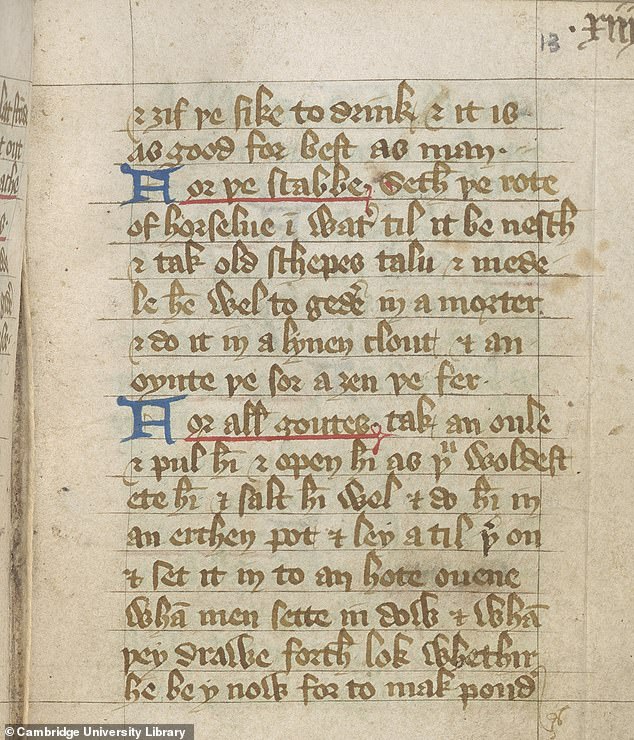 Thousands of bizarre medieval recipes for treating ailments including gout to be digitised