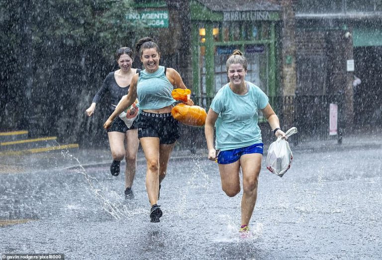 Thunderstorms hit London and South East with train services disrupted as Met Office issues warning