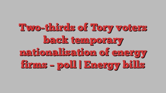 Two-thirds of Tory voters back temporary nationalisation of energy firms – poll | Energy bills