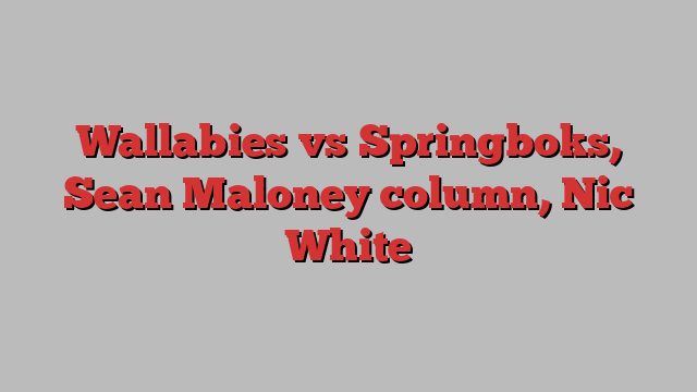 Wallabies vs Springboks, Sean Maloney column, Nic White