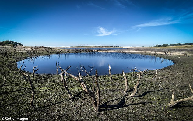 Water leaks DOUBLE during heatwave with firms blaming underground damage caused by earth drying out