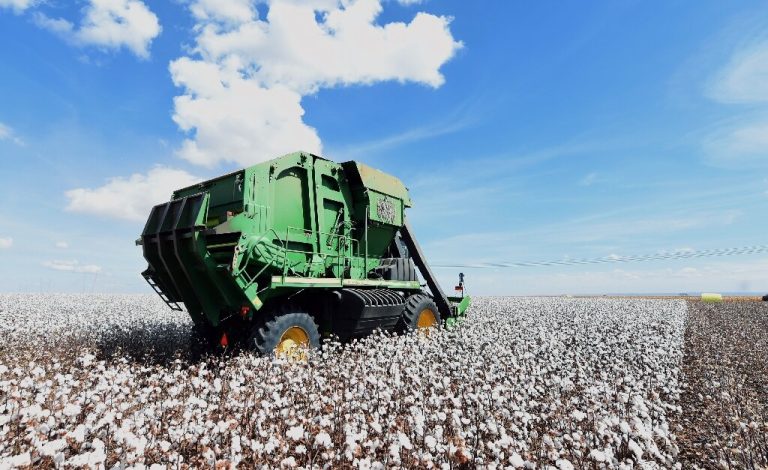 Brazil farmers bet on environmentally friendly cotton