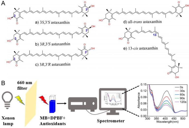 Differences found in antioxidant activities of astaxanthin isomers against singlet oxygen