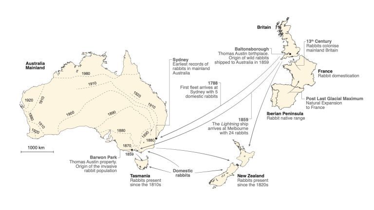 DNA profiling solves Australian rabbit plague puzzle