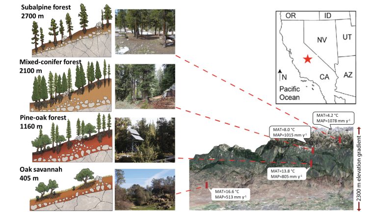 Drought increases microbe-laden dust landing in Sierras