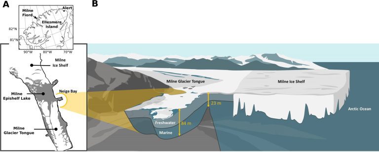 Microbiologists study giant viruses in climate-endangered Arctic Epishelf Lake