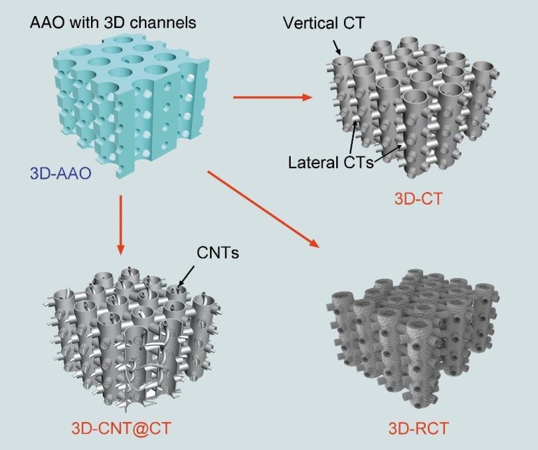 Miniaturized high-performance filter capacitor based on structurally integrated carbon tube grids