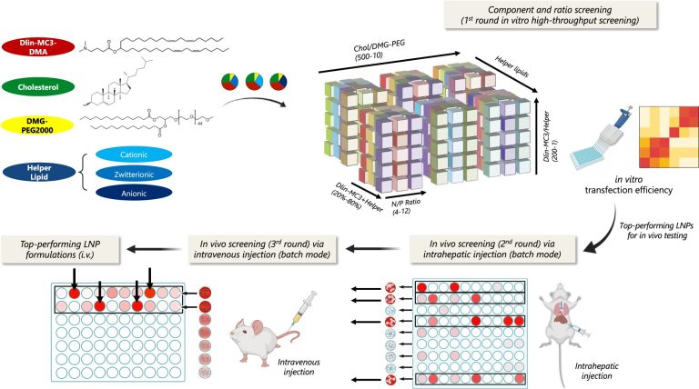 New platform could make gene medicine delivery easier and more affordable