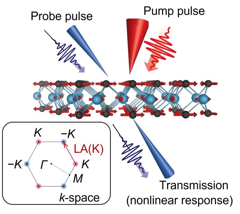 Researchers reveal origin of ultrafast mystery signals in valleytronic materials