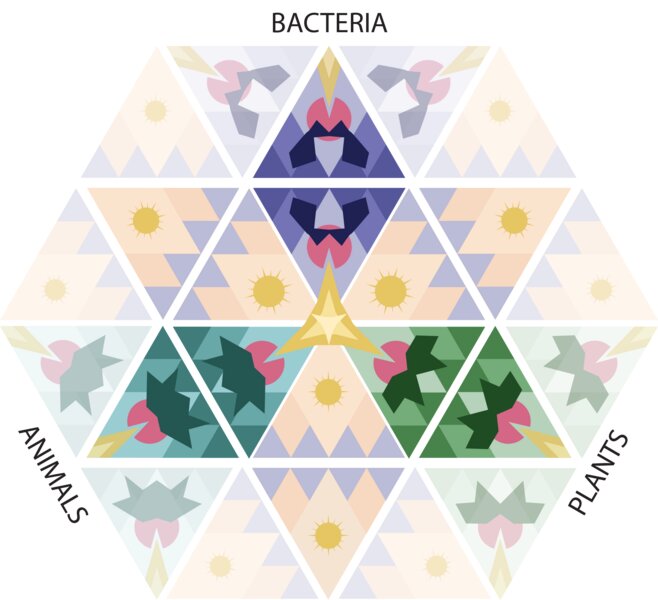 Scientists discover new antiviral defense system in bacteria