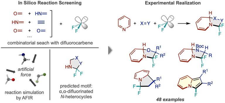 Simulations provide map to treasure trove of fluorinated compounds