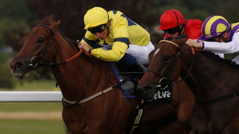 Today on Sky Sports Racing: Wide-open Great St Wilfrid the headline act on Ripon’s feature day | Racing News