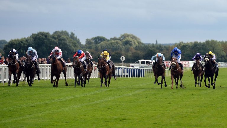 Today on Sky Sports Racing: Silver Sprint Trophy the Saturday highlight at Ripon | Racing News