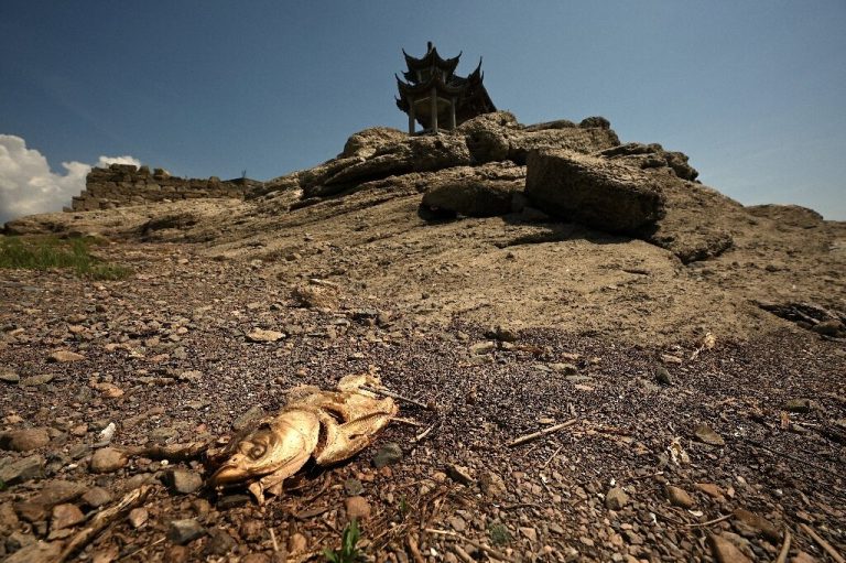 China warns of ‘severe’ threat to harvest from worst heatwave on record