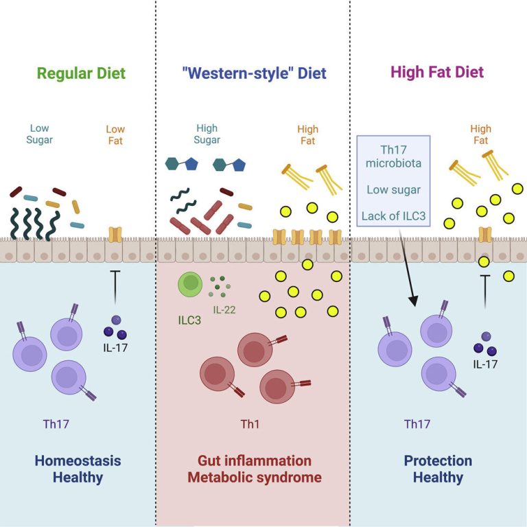 Sugar disrupts microbiome, eliminates protection against obesity and diabetes