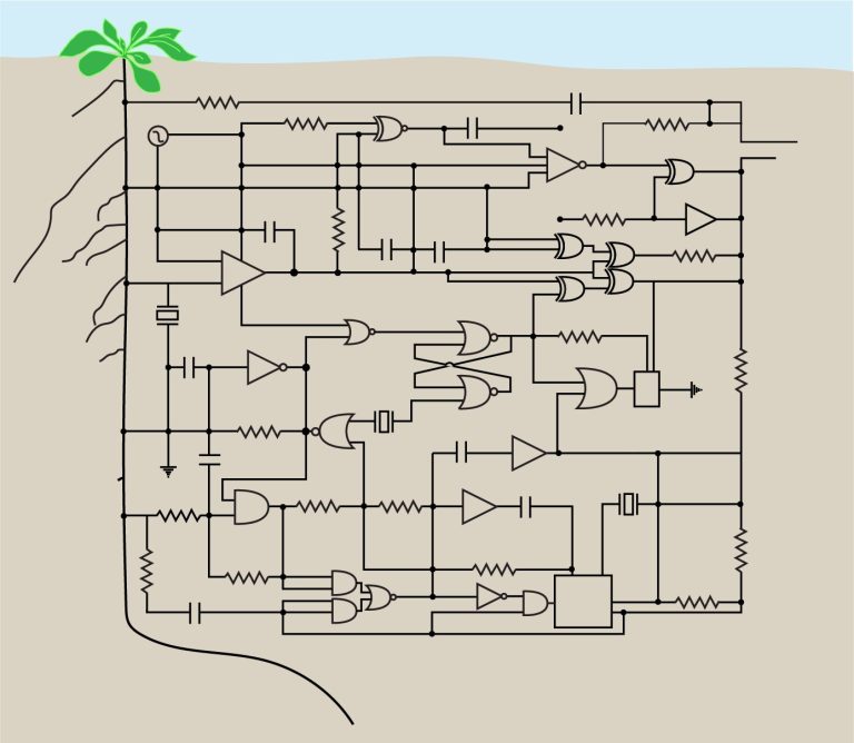 Synthetic genetic circuits could help plants adapt to climate change