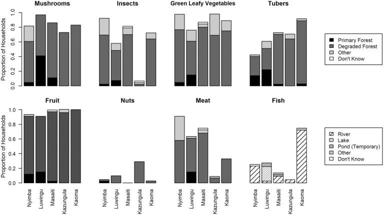 Wild food foraging accounts for nearly 250,000 cubic meters of produce consumed annually in Zambia