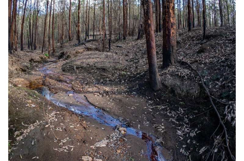 The impact of megafires on estuaries from Australia's 'Black Summer'