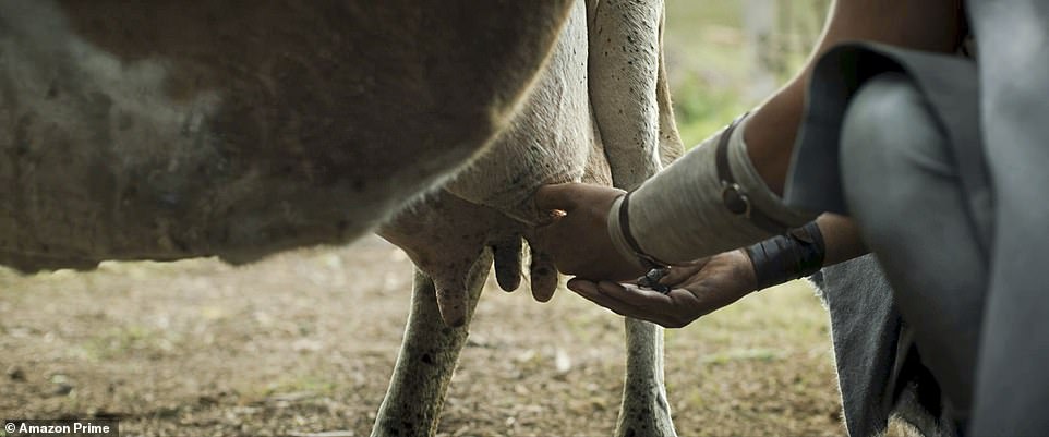 Cow: Arondir tries to milk the cow as a brown liquid comes out, as the farmer says the cow may have wandered as far east as Hordern