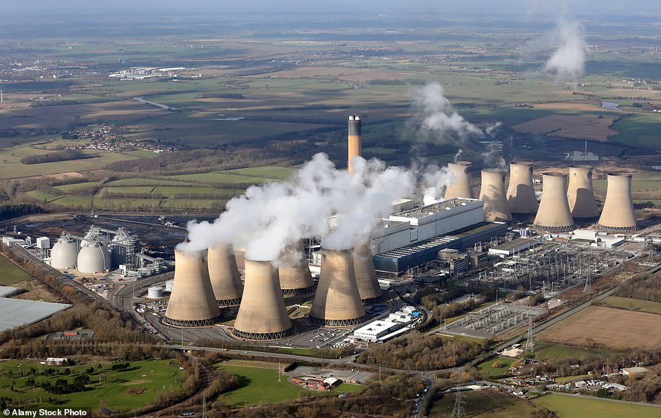 Families may be asked to cut their energy usage this winter to avoid blackouts if the weather 'doesn't go in our favour', an energy expert has warned