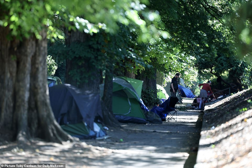 Tents line the streets in the Portland suburbs where residents say they are fed up with people lingering and doing drugs