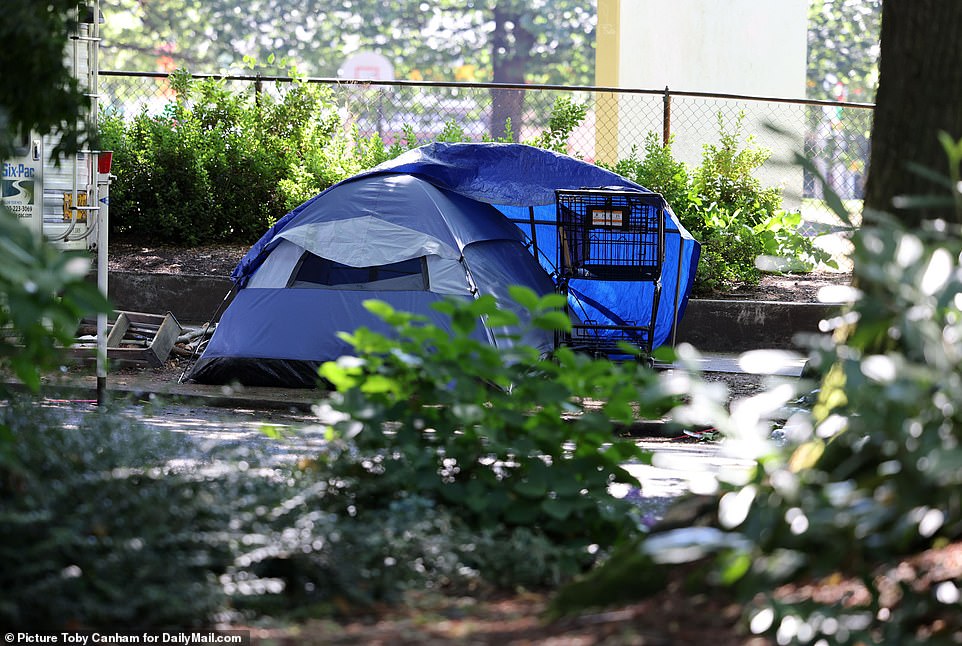 There are tents scattered down random suburban streets and crowded into empty parking lots