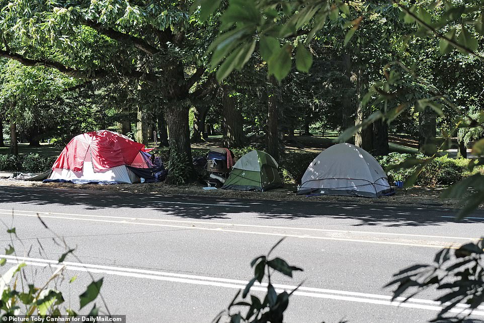 More tents are set up between the street and a park in a residential area of Portland - as the homeless community moves from the downtown area into the suburbs were there's plenty of shade, nature and space for the tents