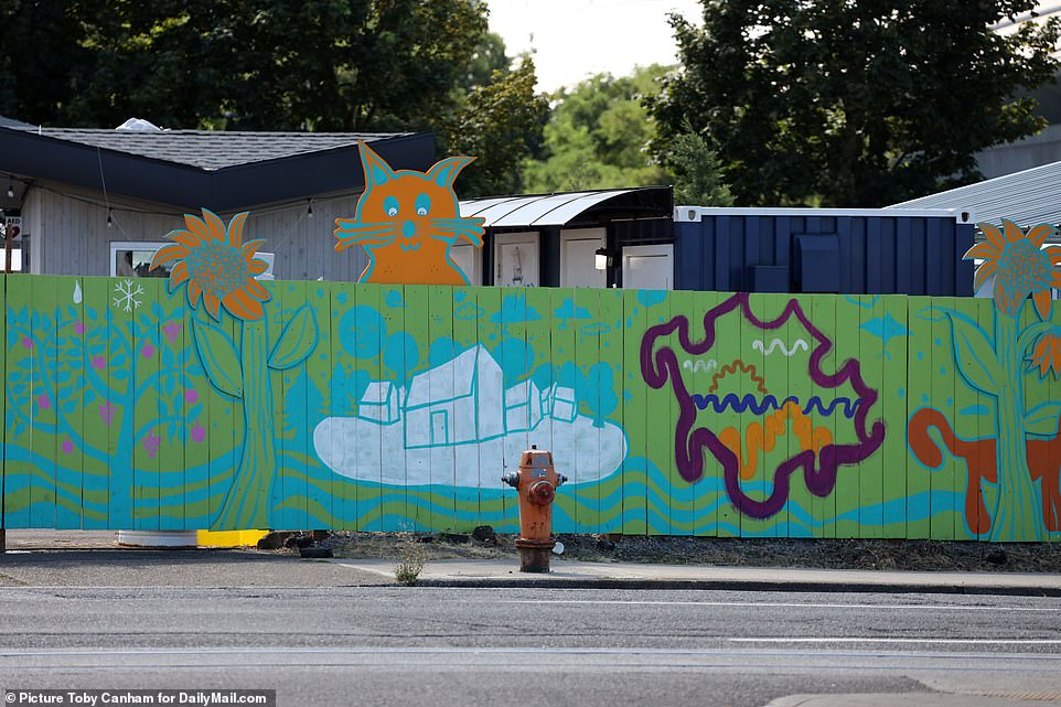 A painted green wall with graffiti separates the hotel from the village of tiny white structures meant for temporary housing