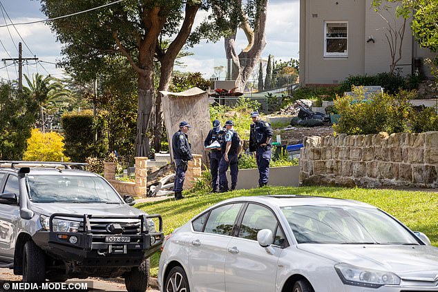 Police scoured the area, speaking with neighbours and trying to get an idea of what happened