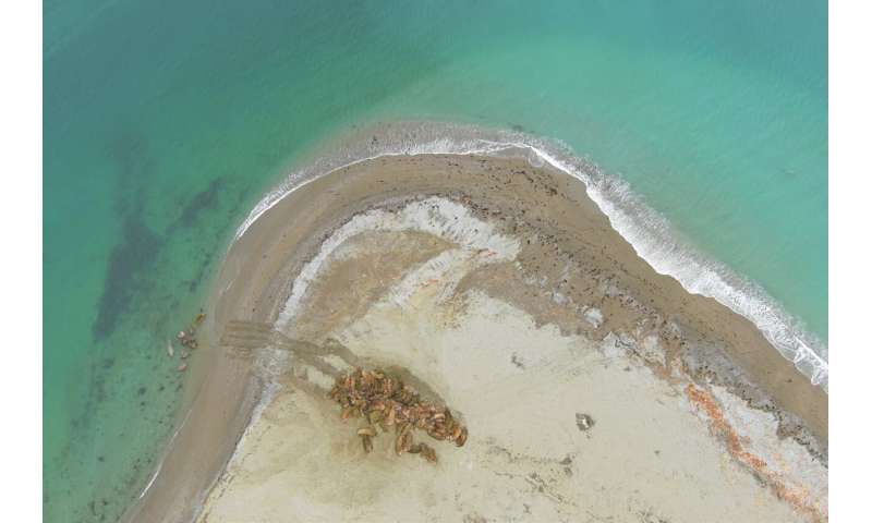 Using eyes in the sky to locate seals in a rapidly changing Arctic