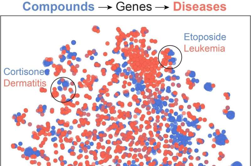 The Bioteque: a computational tool to harmonize biological knowledge