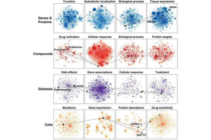 The Bioteque: a computational tool to harmonize biological knowledge