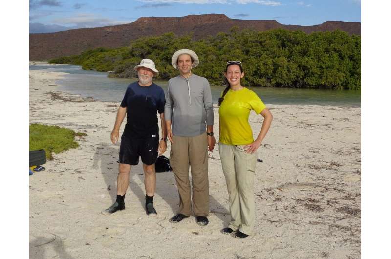 Mexican mangroves have been capturing carbon for 5,000 years