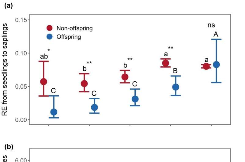 Differential impacts of adult trees on offspring and non-offspring recruits in a subtropical forest