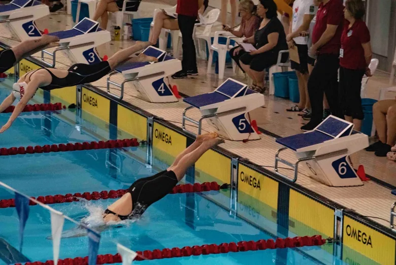 Swimmers dive into a pool as timers and race officials watch them.  