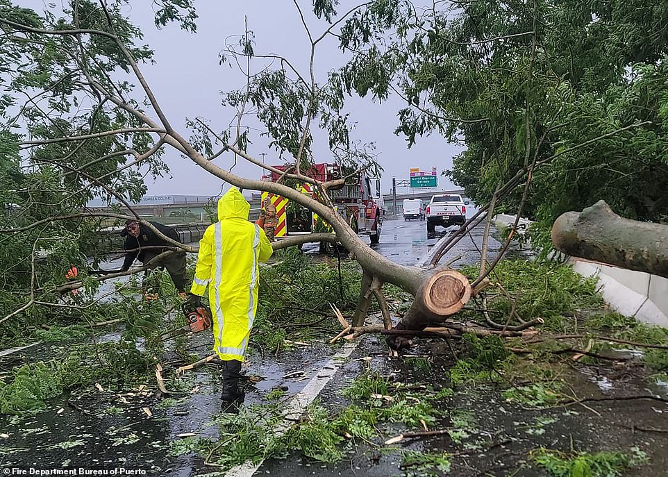 Firefighters work to remove a fallen tree from the road in Vega Baja, Puerto Rico as strong winds threaten to rip apart the island