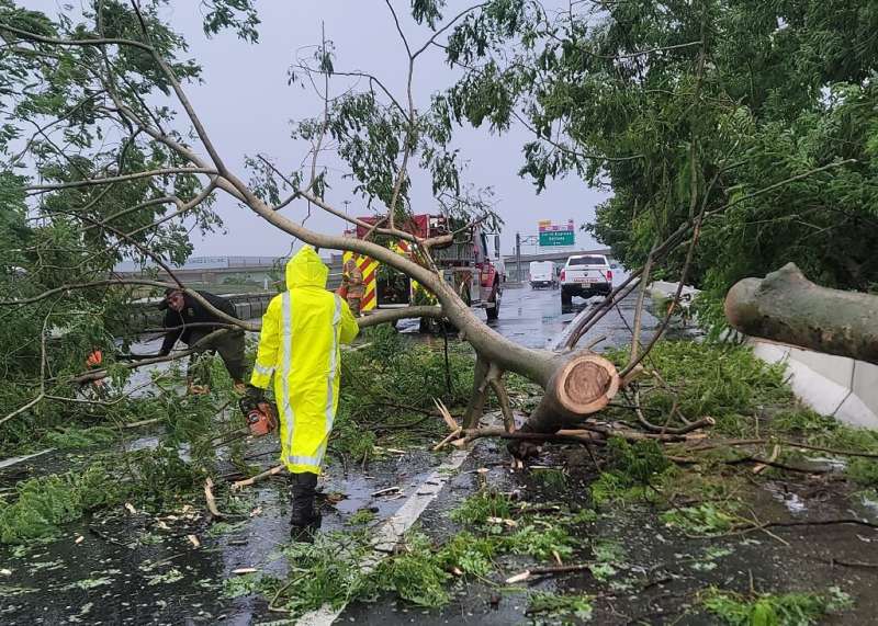 In this handout photo provided by the Puerto Rico fire department, firefighters work to remove a fallen tree from a road in Vega