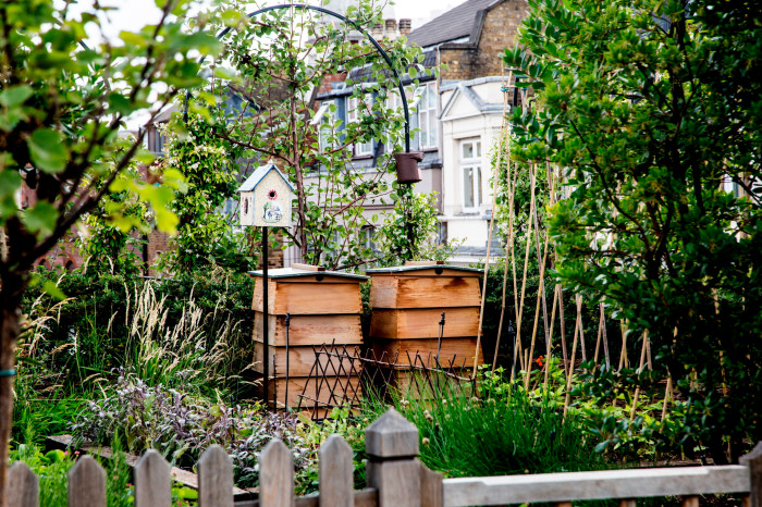 Beehives in the rooftop garden of the Ham Yard Hotel