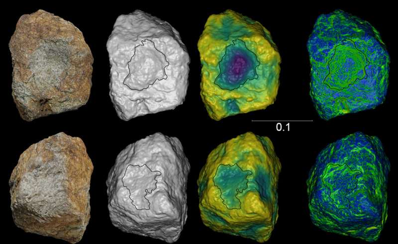 Chimpanzee stone tool diversity