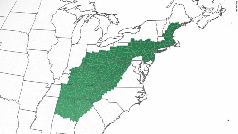 Flash flood watch: More than 80 million people are under flood watches today, from Alabama to Maine