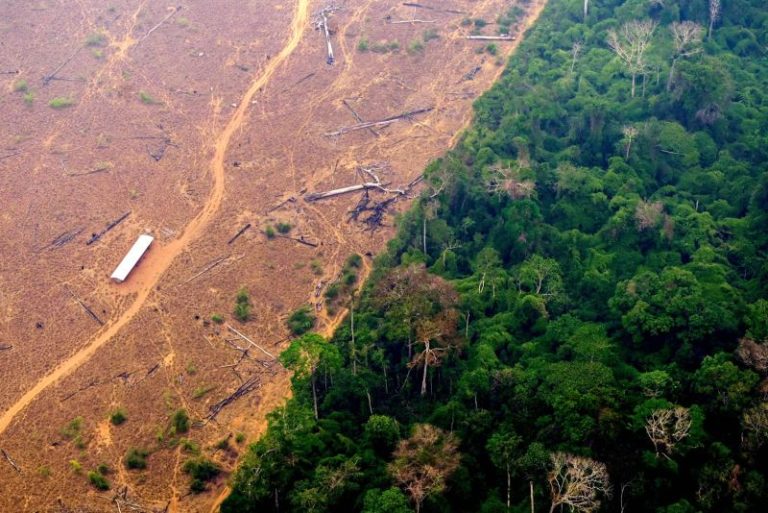 Indonesia, Brazil biggest culprits in tropical forest loss linked to industrial mining -study