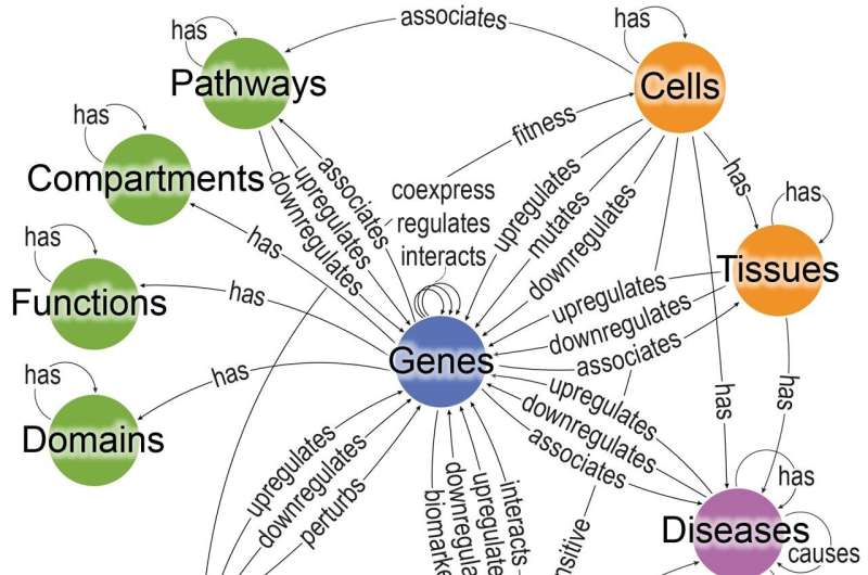 The Bioteque: a computational tool to harmonize biological knowledge