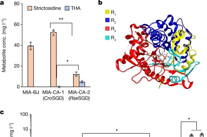 Anti-cancer drug brewed from reprogrammed yeast