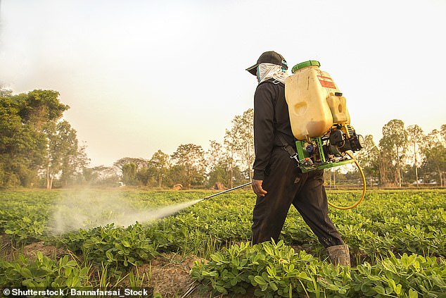 Babies exposed to some pesticides while in womb are more likely to develop rare eye cancer