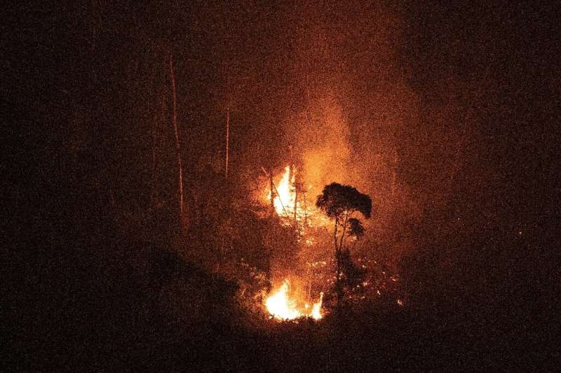 View of a burnt area in the Amazon rainforest in the region of Candeias do Jamari, Rondonia state, northern Brazil, on September